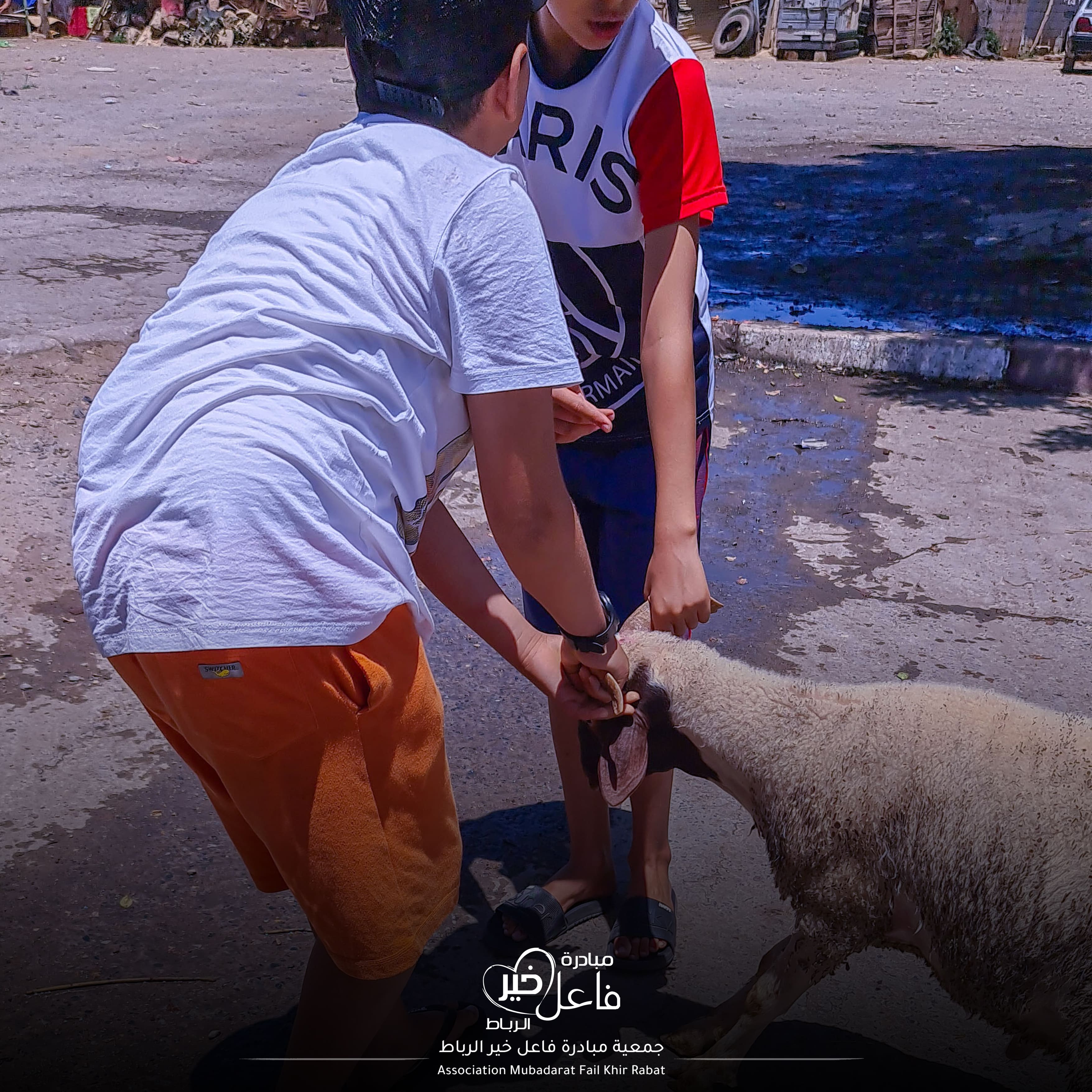 بسمة عيد الأضحى